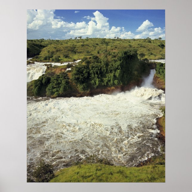 Africa, Uganda, Murchison Falls NP. The frothy Poster (Front)