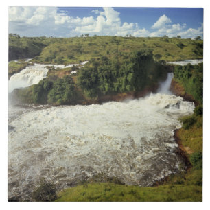Africa, Uganda, Murchison Falls NP. The frothy Tile