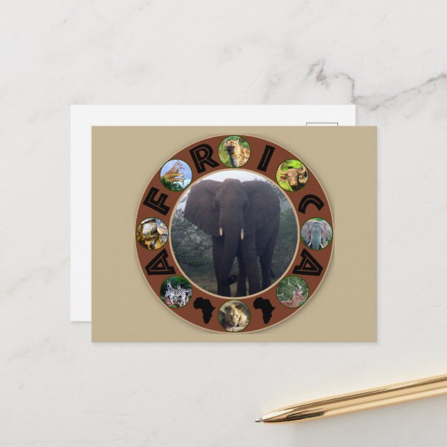 Africa Wildlife Circle Elephant Mist Postcard (Front/Back In Situ)