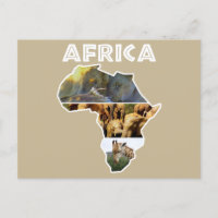 Africa Wildlife Continent Collage
