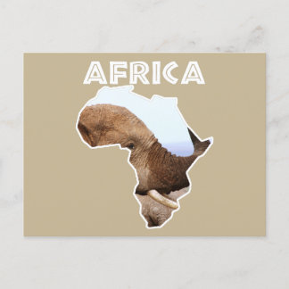 Africa Wildlife Continent Elephant Scents Holiday Postcard