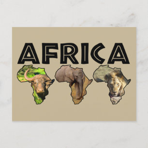 Africa Wildlife Continent Trio Holiday Postcard