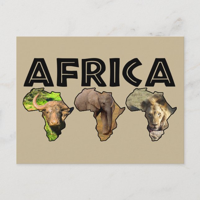 Africa Wildlife Continent Trio Holiday Postcard (Front)