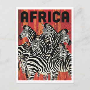 Africa Zebra Safari Vintage Art Postcard