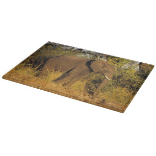 Africa, Zimbabwe, Victoria Falls National Park. Cutting Board