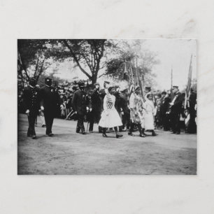 African American veterans, New York City, 1912 Postcard