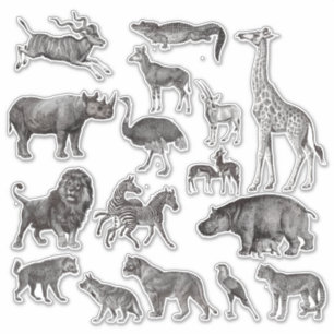 African Animal Vintage Illustrations