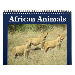 african animalia calendar
