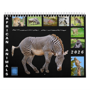 African animals 12 month calendar