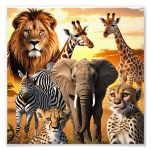 African animals  photo print