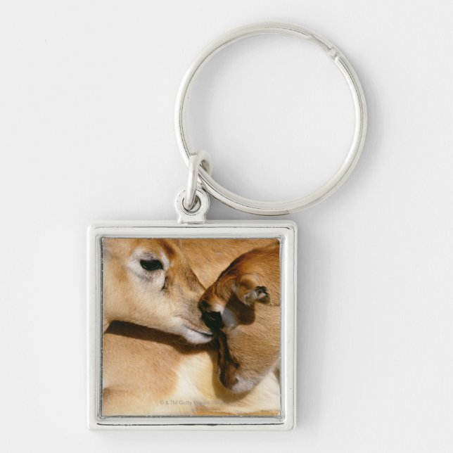 African antelope and fawn key ring (Front)