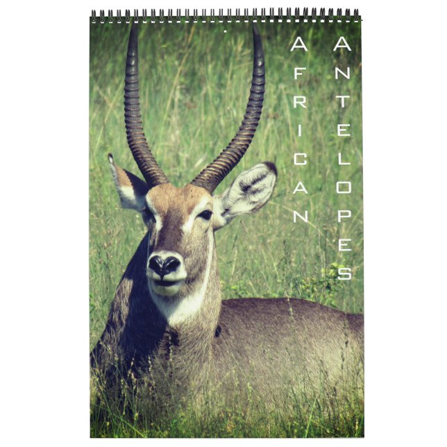 african antelope safari 2026 calendar (Cover)