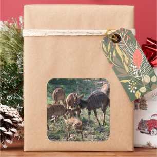 African Antelope Scene Square Sticker