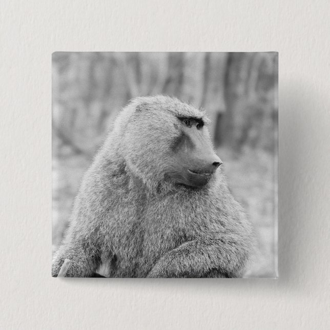 African baboon 15 cm square badge (Front)