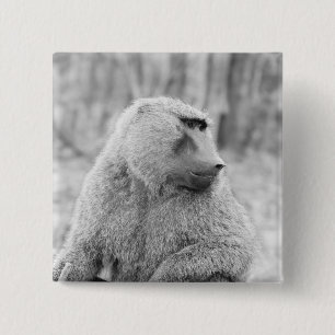 African baboon 15 cm square badge