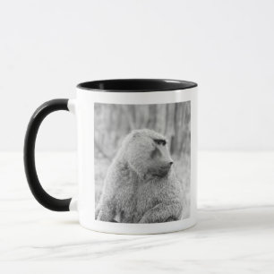 African baboon mug