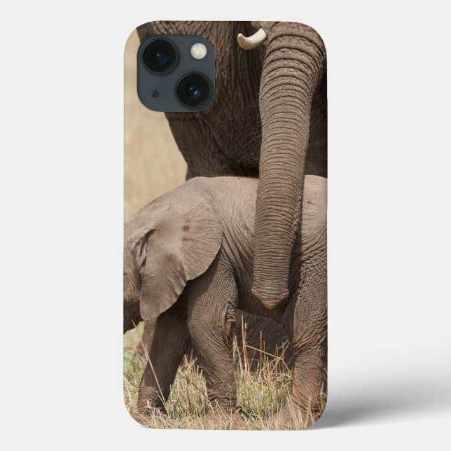 African Baby Elephant with Mother Case-Mate iPhone Case (Back)