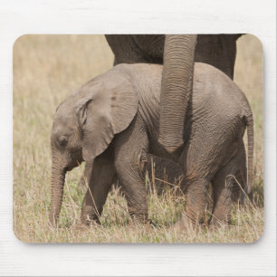 African Baby Elephant with Mother Mouse Pad
