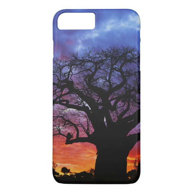 African baobab tree, Adansonia digitata, 2 Case-Mate iPhone Case (Back)