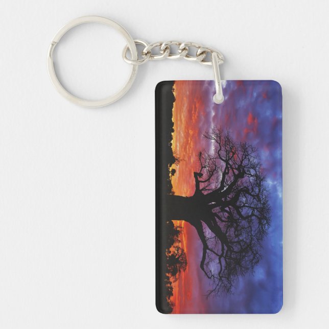 African baobab tree, Adansonia digitata, 2 Key Ring (Front)