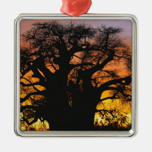 African baobab tree, Adansonia digitata, Metal Ornament