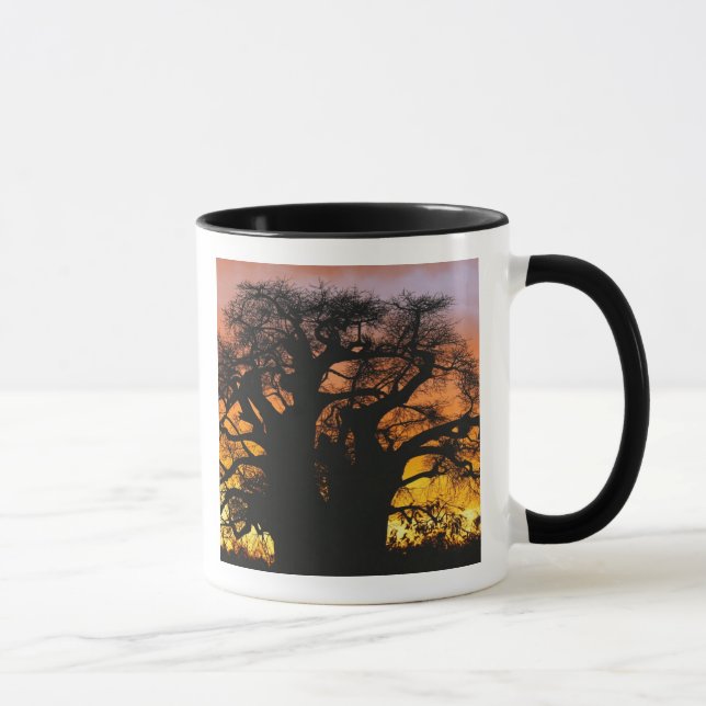 African baobab tree, Adansonia digitata, Mug (Right)