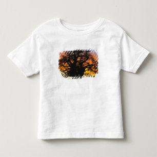 African baobab tree, Adansonia digitata, Toddler T-Shirt