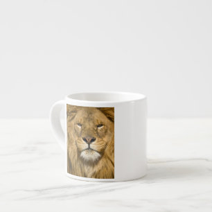 African Barbary Lion, Panthera leo leo, one of Espresso Cup