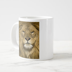 African Barbary Lion, Panthera leo leo, one of Large Coffee Mug