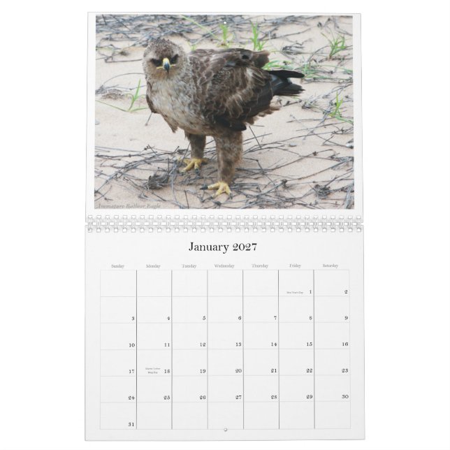 African Birdlife Calendar (Jan 2027)
