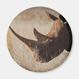 African black rhino with big horns magnet