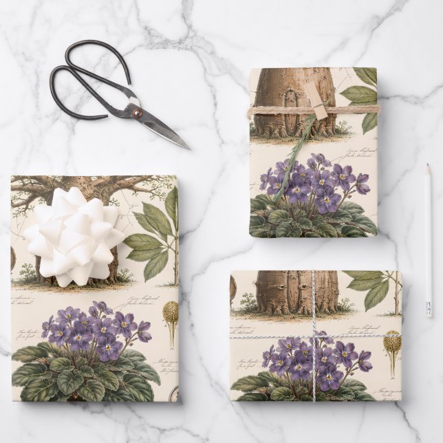 "African Botanical Atlas  Wrapping Paper Sheet (Front)