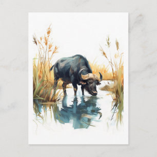 African Buffalo at Water’s Edge Holiday Postcard