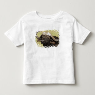 African Buffalo, Syncerus caffer Toddler T-Shirt