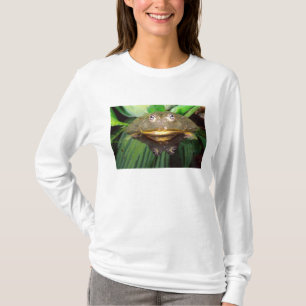 African Burrowing Bullfrog, Pyxicephalus 2 T-Shirt