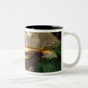 African Burrowing Bullfrog, Pyxicephalus 2 Two-Tone Coffee Mug