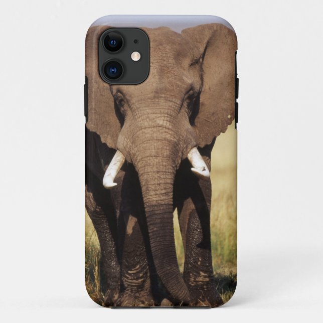 African Bush Elephant Case-Mate iPhone Case (Back)