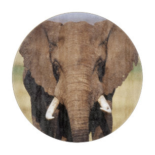 African Bush Elephant Cutting Board