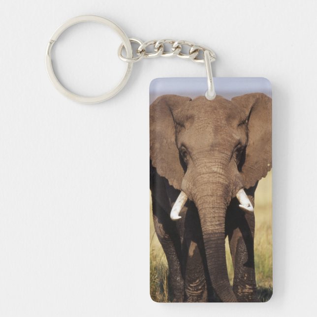 African Bush Elephant Key Ring (Front)