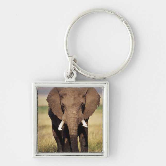 African Bush Elephant Key Ring (Front)