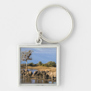 African Bush Elephant (Loxodonta Africana) Herd Key Ring