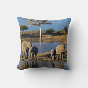 African Bush Elephants (Loxodonta Africana) Cushion