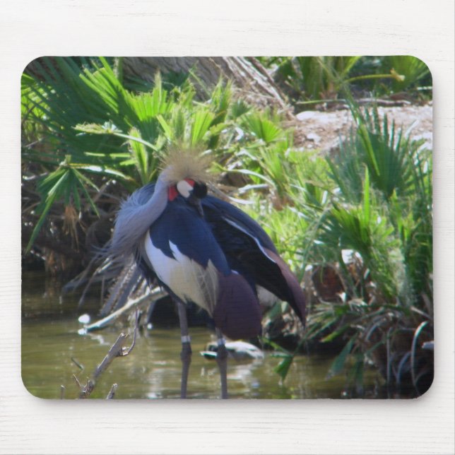 African crowned crane mousepad (Front)