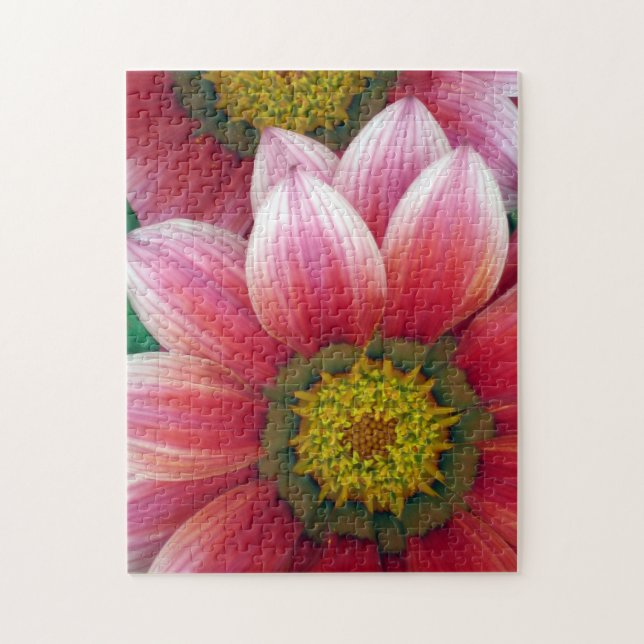 African Daisies Jigsaw Puzzle (Vertical)