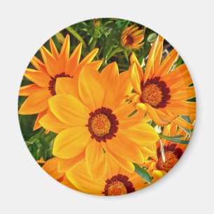 African Daisies Magnet