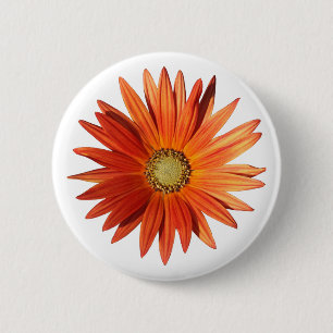 African Daisy 6 Cm Round Badge