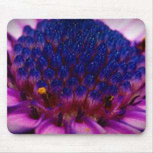 African Daisy Blossom Mousepad