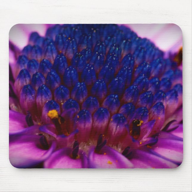 African Daisy Blossom Mousepad (Front)