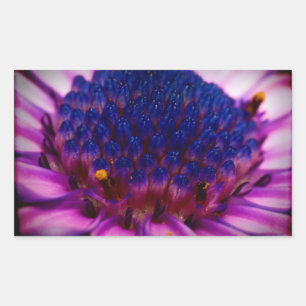 African Daisy Blossom Rectangle Sticker