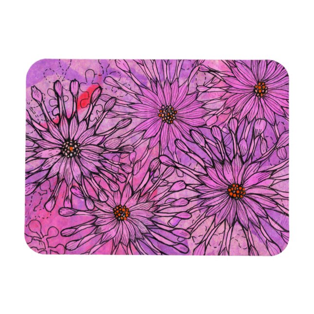 African Daisy Cape Daisies Pink Flowers Floral Art Magnet (Horizontal)